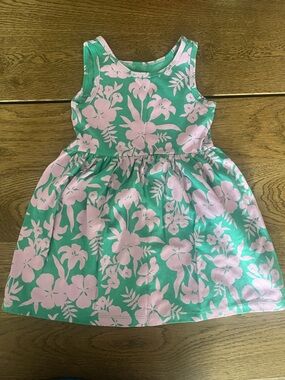 Cat and Jack Green & Pink Floral Dress